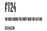 ft24 Preview