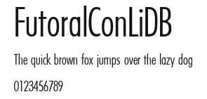 FutoralConLiDB Preview