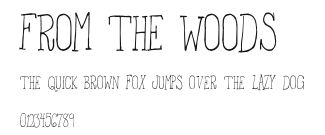 From the Woods Preview