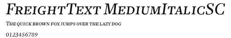 FreightText MediumItalicSC Preview