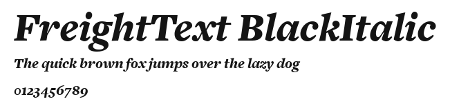 FreightText BlackItalic Preview