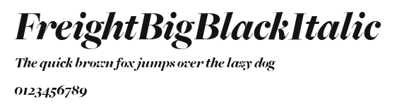 FreightBigBlackItalic Preview