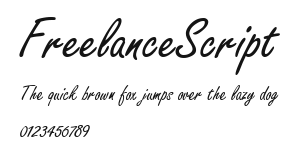 FreelanceScript Preview