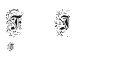 Foliar Initials Preview