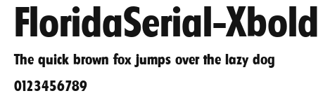 FloridaSerial-Xbold Preview