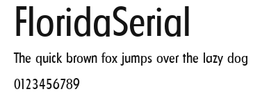 FloridaSerial Preview