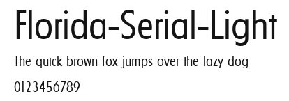 Florida-Serial-Light Preview