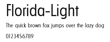 Florida-Light Preview