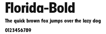 Florida-Bold Preview