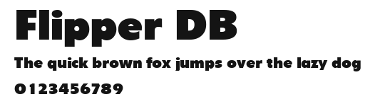 Flipper DB Preview