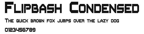 Flipbash Condensed Preview