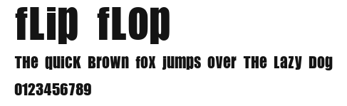 Flip Flop Preview