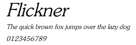 Flickner Preview