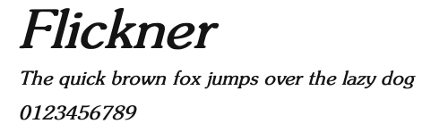 Flickner Preview