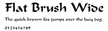 Flat Brush Wide Preview