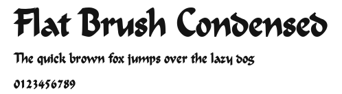 Flat Brush Condensed Preview