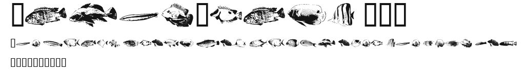 FishyPrint AOE Preview