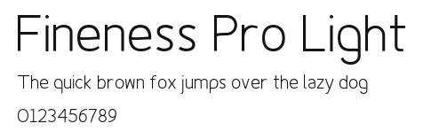 Fineness Pro Light Preview
