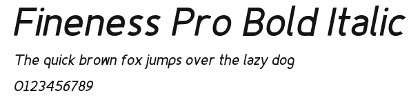 Fineness Pro Bold Italic Preview