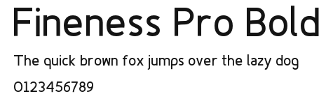 Fineness Pro Bold Preview