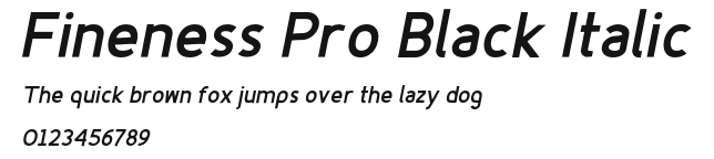 Fineness Pro Black Italic Preview