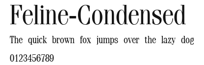 Feline-Condensed Preview