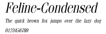Feline-Condensed Preview