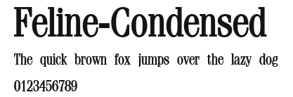 Feline-Condensed Preview
