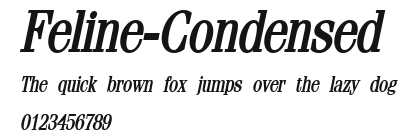 Feline-Condensed Preview