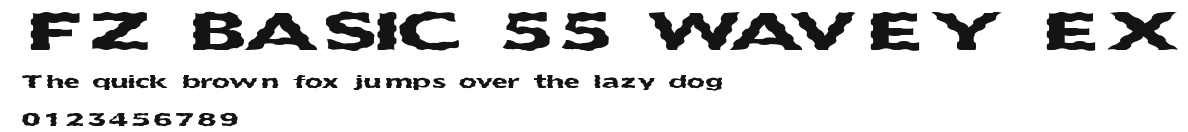 FZ BASIC 55 WAVEY EX Preview