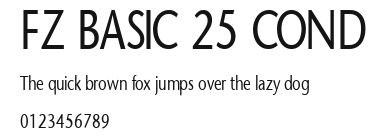 FZ BASIC 25 COND Preview