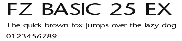 FZ BASIC 25 EX Preview