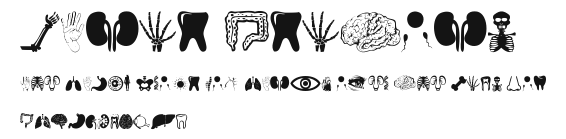 Human Anatomy Preview