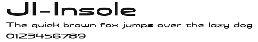 JI-Insole Preview