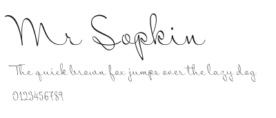 Mr Sopkin Preview
