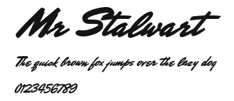 Mr Stalwart Preview