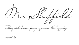 Mr Sheffield Preview
