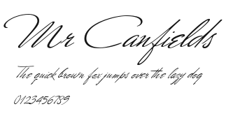 Mr Canfields Preview