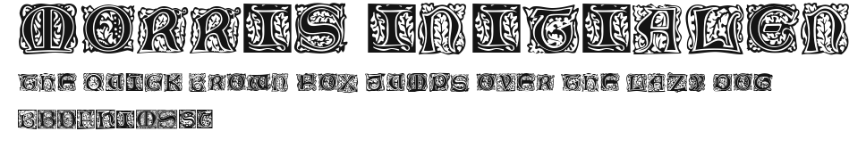 Morris Initialen Preview