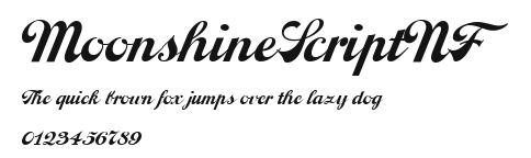 MoonshineScriptNF Preview