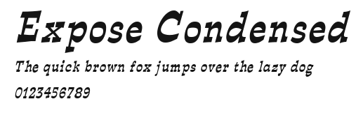 Expose Condensed Preview