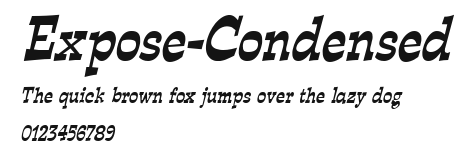 Expose-Condensed Preview