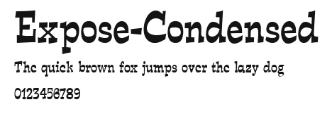 Expose-Condensed Preview