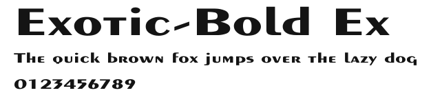 Exotic-Bold Ex Preview