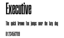 Executive Preview