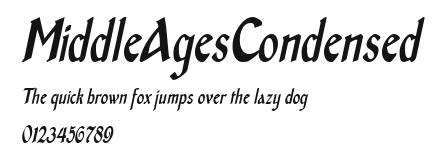 MiddleAgesCondensed Preview