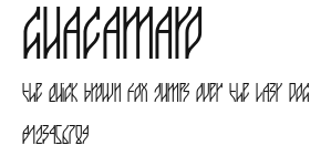 guacamayo Preview