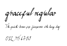 graceful regular Preview