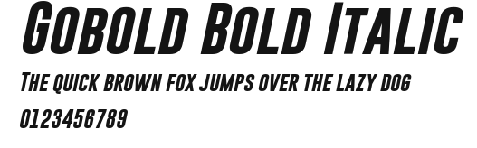 Gobold Bold Italic Preview