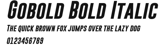 Gobold Bold Italic Preview